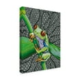 thumbnail image 2 of Trademark Fine Art 'Freddie The Frog' Canvas Art by Amy Frank, 2 of 3