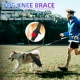 thumbnail image 3 of QARUN Large Dog Leg Braces for Back Leg for Support with Cruciate Ligament Injury-Better Recovery with Dog Knee Brace for Torn Acl Hind Leg-Adjustable Hip Dysplasia Dog Acl Brace Hind Leg Rear, 3 of 7