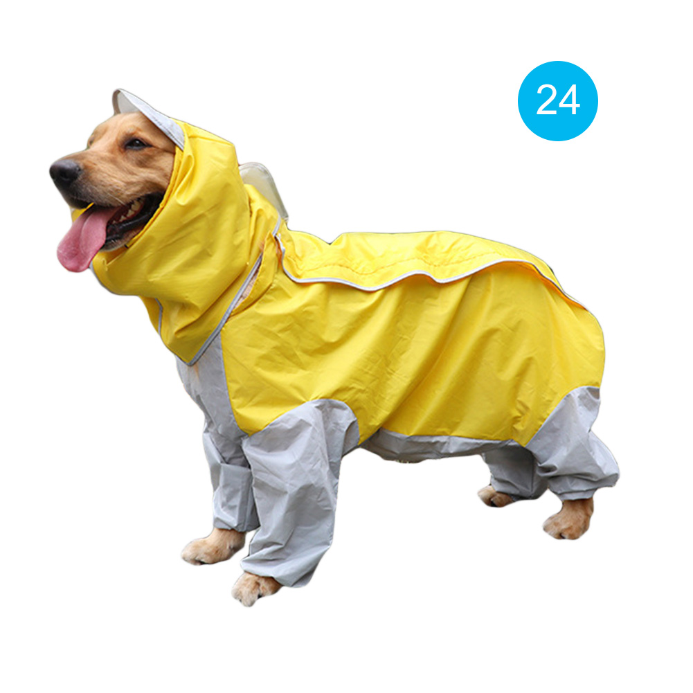 golden retriever in raincoat