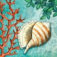 thumbnail image 2 of Wright, Sydney 26x26 Black Ornate Wood Framed with Double Matting Museum Art Print Titled - Conch, 2 of 4