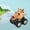 A, variant on C Hammerhead Shark Pull Back Toy Car Mini Vehicle For Kids Gift Inertial Friction Power Fun Design Safe Material Playtime Activity Ocean Theme