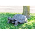 thumbnail image 3 of Hi-Line Gift Resin Animals Turtle Garden Sculpture, 3 of 5