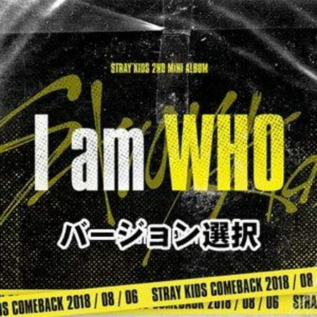 straykids I AM YOU ミニフォトブック