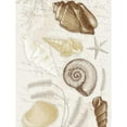 thumbnail image 3 of Grey, Jace 15x18 Black Modern Framed Museum Art Print Titled - Shells Mate, 3 of 5
