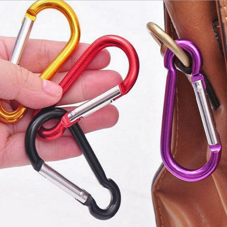 Leye Carabiner Keychain Clip - Aluminum Carabeaner Key Clip,D Ring Shape  Caribeener Hook Buckle,Spring Snap Key Chain Clips , for Hammocks Camping  Accessories Locking Dog Leash and Harness(10pcs) 