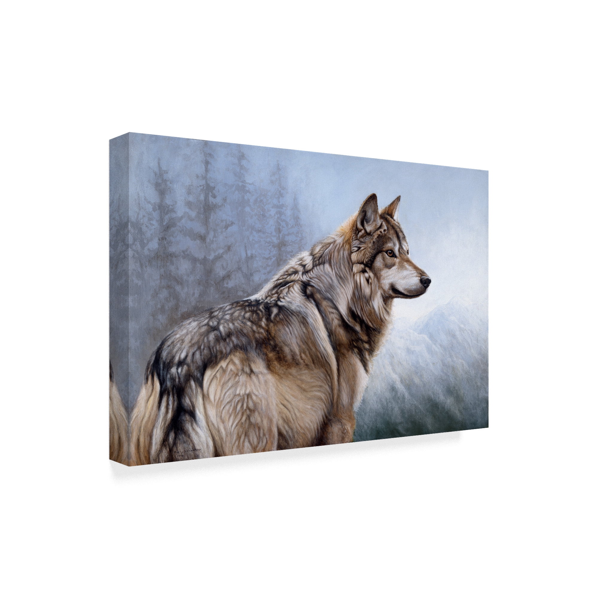 Trademark Fine Art 'King Of The Hill' Canvas Art by Rusty Frentner