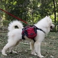 thumbnail image 2 of de Perro con Ajustable Almacenaje de para Paseo Excursiones Viaje - Rojo, M Red M, 2 of 9