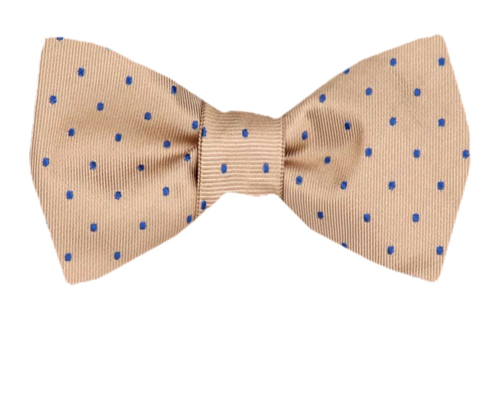 Men's Brown Taupe Ecru Silk Self Tie Bowtie Tie Yourself Bow Ties