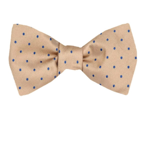 Men's Brown Taupe Ecru Silk Self Tie Bowtie Tie Yourself Bow Ties
