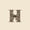 Brown H, variant on meiyoeat bow Monogram M Print 7-Piece Twin Bedding,Fashion Leopard Print Bedding Comforter Set,Black Reversible