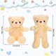 thumbnail image 2 of Oso de peluche Hyden de 30 cm con lazo de cinta, 12 unidades, multicolor, 2 of 6