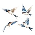 thumbnail image 3 of Adhesivos de pared de PVC con forma de golondrina, acuarela, 30 x 59 cm, 3 of 3