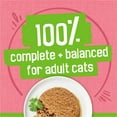 thumbnail image 4 of Friskies Pate Salmon Dinner, Wet Cat Food 156g, 4 of 8