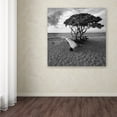 thumbnail image 3 of Trademark Fine Art "Hawaiian Tree" Canvas Art by Rob Cherry, 3 of 3