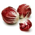 thumbnail image 1 of 100 RADICCHIO DI TREVISO Radicchio Rose Vegetable Seeds, 1 of 1