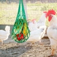 thumbnail image 4 of Chicken Vegetable String Snack Holder for Large Birds Hens Duck green, 4 of 8