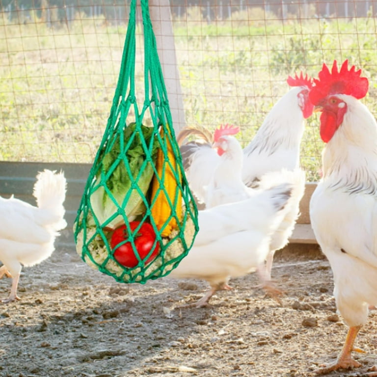 Chicken Vegetable Bag Hanging Feeder Skewers Lettuce Snack Holder