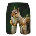 thumbnail image 3 of Lukts Squirrels Eating Peanuts On The Tree Print Mens Swim Trunks Quick Dry Swim Shorts with Funny Beach Shorts-Medium, 3 of 6
