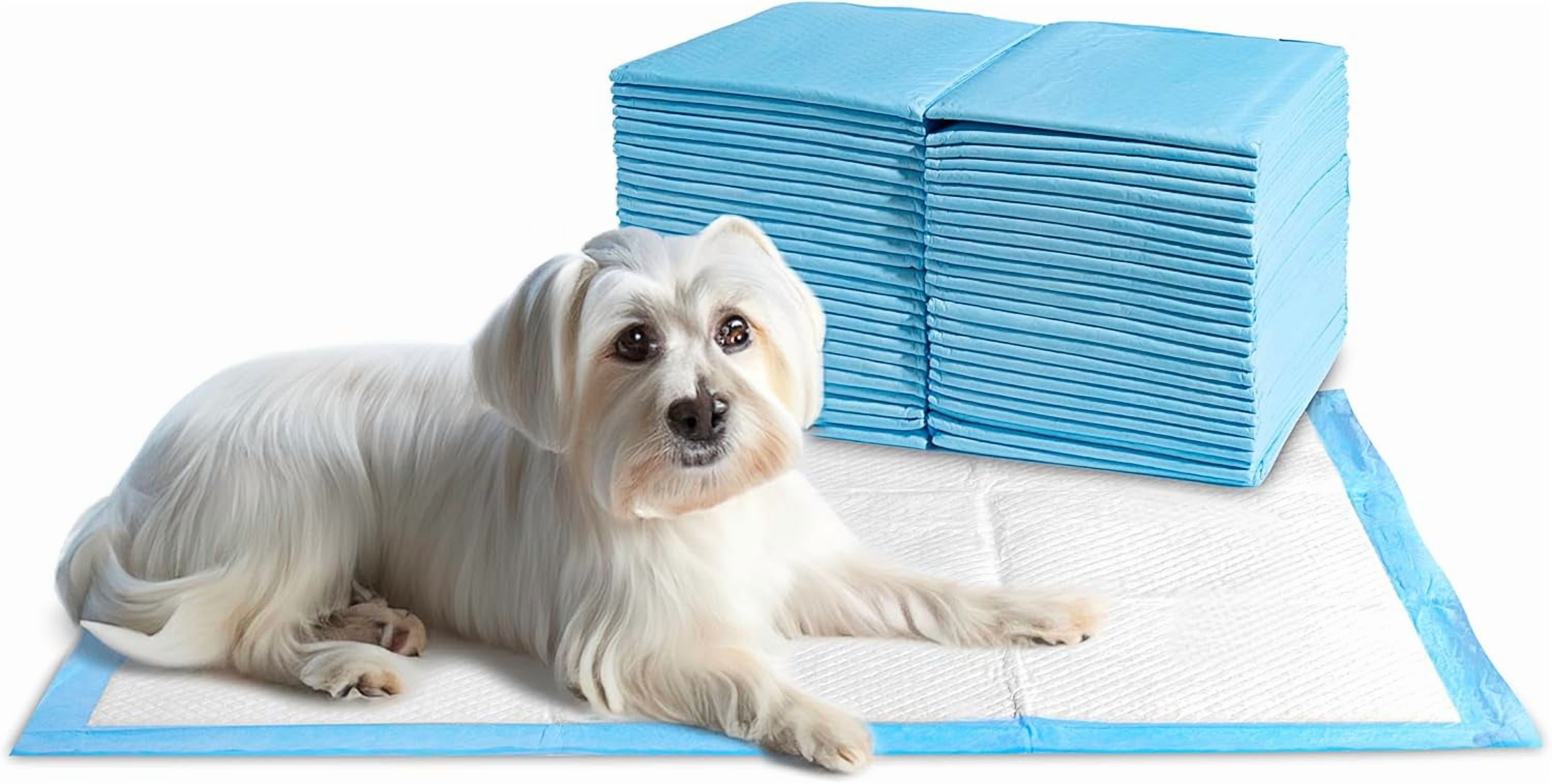 Leak-Proof Large Puppy Pads, 50 Count, 30" X 23". Training Pee Pads with Superb Absorption, Quick-Drying, Odor Neutralizer, & Multi-Layer Design