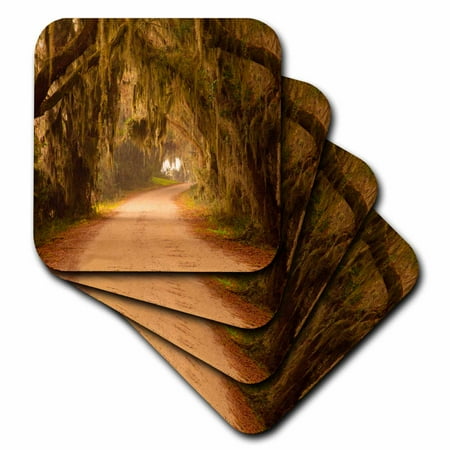 Oak Coaster - 3dRose USA, Georgia, Moss draped oaks at Savannah National Wildlife Refuge. - Soft Coasters, set of 4