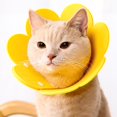thumbnail image 2 of BELOVING 2xCat Cône Collier de Protection Souple pour Animaux de Compagnie de Beauté Fournit S, 2 of 10