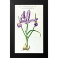 thumbnail image 2 of Morison, Robert 10x14 Black Modern Framed Museum Art Print Titled - Iris Bulbosa Luteo, 2 of 5