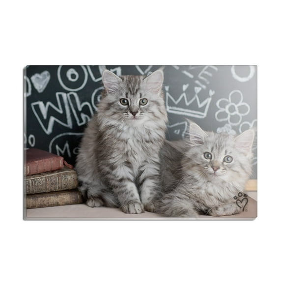 Siberian Tabby Kittens Cats School Chalkboard Learning Rectangle Acrylic Fridge Refrigerator Magnet