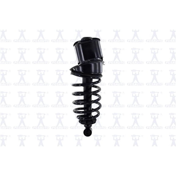 Suspension Strut and Coil Spring Assembly