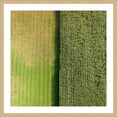 thumbnail image 2 of Marmont Hill "Green Rows" by Karolis Janulis Framed Painting Print, 2 of 5