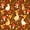 Brown 05, variant on Homewish Cute Botanical Mushrooms Twin Sheets,Kawaii Guinea Pig Animals Bedding,White,3pcs,1 Flat Sheet,1 Fitted Sheet and 1 Pillowcase