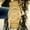 V2-1-Sand dune, variant on Luxury Specht & Sons New Fashion 222 Gold Automatic Watch For Men Japan NH35 Movement Sapphire Crystal Sand Dune Wristwatch Reloj