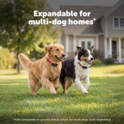 PetSafe Basic In-Ground Pet Fence for Dogs and Cats with 2 Waterproof and Battery-Operated Collars - Underground Electric Collar - From the Parent Company of Invisible Fence Brand for Pets 8lbs & up