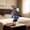 Blue, variant on Artificial Potted Flower Tabletop Decor, Indoor Photography Prop Setup, Maintenance-Free Fake Potted Plant for Living Room, Home Office Decor, Shelf and Table Centerpiece