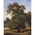 thumbnail image 3 of Jean-Victor Bertin 20x24 Black Modern Framed Museum Art Print Titled - Study of a Tree (circa 1800-1805), 3 of 5