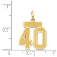 thumbnail image 2 of 14k Yellow Gold Small Satin Number 40 Charm, 2 of 3