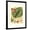 Black Frame, variant on Art.com Fantastical Botanical I Art Print by Vision Studio, 12" x 16"