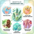 thumbnail image 2 of Rosemary Essential Oil, 10ml, Energizing Herbal Scent for Aromatherapy and Relaxation, 2 of 10