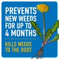 thumbnail image 3 of Dual Action Quick Hand Applicator for Weed & Grass Killer, 3 of 9