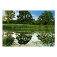 thumbnail image 3 of Tiptophomedecor Landscape Wallpaper Wall Mural - The Magic Pond, 3 of 4