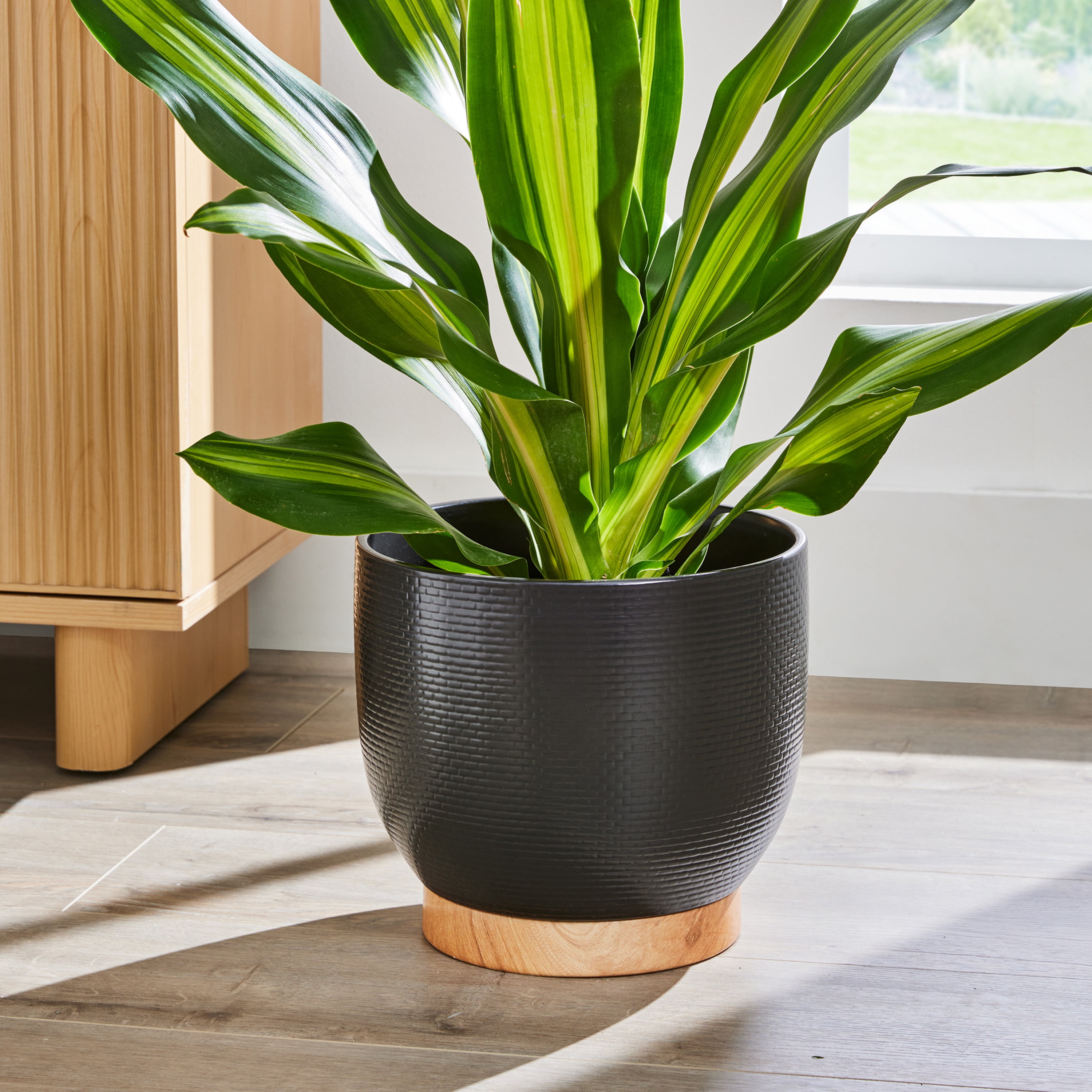 鉢・プランター CERADEMIC POT black spicygem x botanize Better Homes & Gardens 10 inch Black Ceramic Planter with Woven