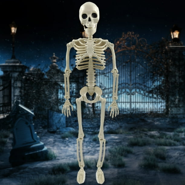 Figura de esqueleto modelo de Halloween, favores de fiesta al aire libre realistas de 16/24 pulgadas