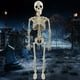 thumbnail image 1 of Figura de esqueleto modelo de Halloween, favores de fiesta al aire libre realistas de 16/24 pulgadas, 1 of 9