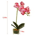 thumbnail image 3 of Glass Vase Artificial Orchid Bonsai - Phalaenopsis Flower Pot Arrangement For Home Table Centerpieces And Room Decor, 3 of 5