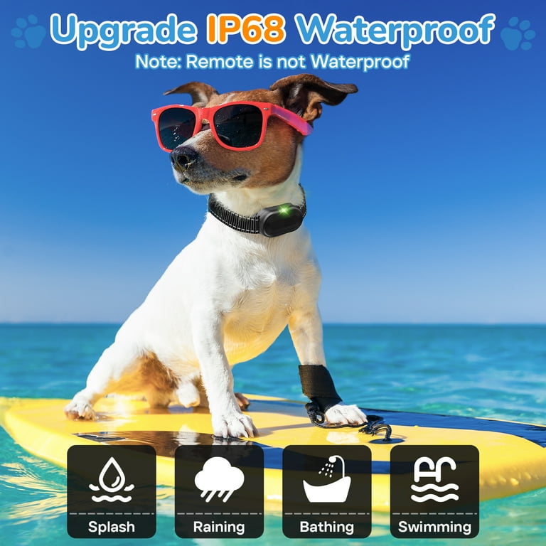 Training Collar Best Electric Collar Collars UK Dog Training