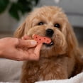 thumbnail image 4 of Vibrant Life Crunchy Valentine's Day Biscuit Treat for Dogs, Peanut Butter, 8.47 oz Net Weight Each Pack, 4 of 5