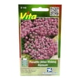 thumbnail image 1 of Semillas Panalillo Alyssum Víta Violeta 0.3 Gr, 1 of 3