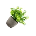 thumbnail image 1 of Billuyoard Decoración artificial elegante plástica de la planta en conserva fácil limpiar mantenimiento bajo interior o al aire libre Decoración aliento de bebé azul, 1 of 6