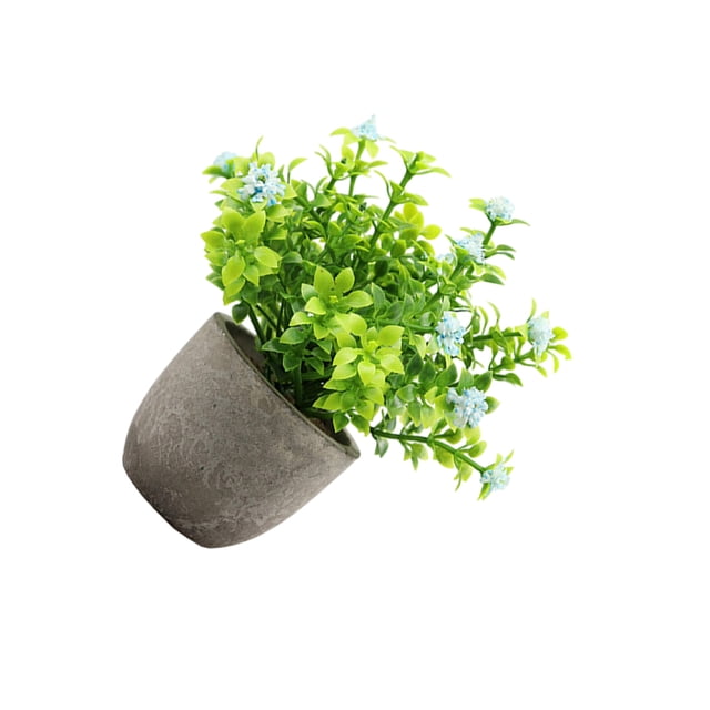 Billuyoard Decoración artificial elegante plástica de la planta en conserva fácil limpiar mantenimiento bajo interior o al aire libre Decoración aliento de bebé azul