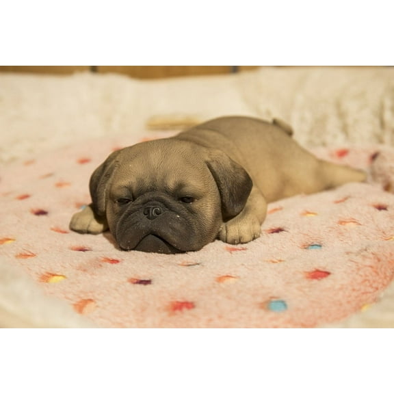 Hi- Line Gift 87710-L Pug Puppy Sleeping Pet Pals Statue