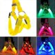 thumbnail image 2 of Dog Head Halter With Safety Strap, Dog Head Collar With Reflective Strap, No-pull Dog Collar Adjustable Dog Harness Training 26s, 2 of 5